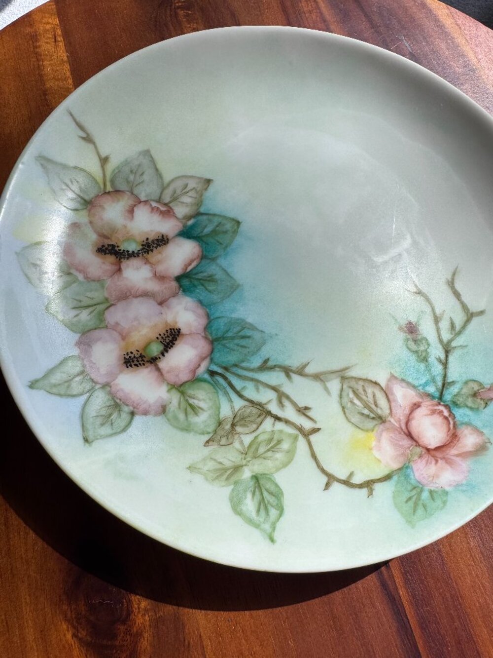 Antique J&C Bavaria Hand-Painted Pink Wild Rose Porcelain Plate